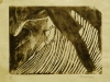 surfingwoodcutcorrsdim0684