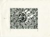 flamingdisk_bw_grid1992