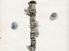 spineshells