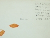 eata_peanut_cul1070661